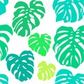Seamless vector pattern of colorful leaves Monstera. Exotic tropical repeat ornament. Royalty Free Stock Photo