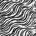 Seamless vector pattern of curving stripes with torn edges. black strokes of paint on a white background. Print for