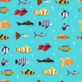 Seamless vector pattern with cute decorative fishes illustration. Funny multicolor background, marine texture underwater