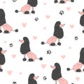 Seamless vector pattern with cute pink and black poodle dog