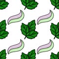 A seamless vector pattern depicting fresh green peppermint leaves paired with decorative swirls of two-toned pink and green Royalty Free Stock Photo