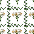Seamless vector pattern featuring delicate white daffodils with yellow centers, intertwined with trailing green vines and leaves, Royalty Free Stock Photo