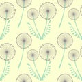 Seamless vector pattern with flowers. Background with dandelions. Graphic illustration.