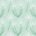 Seamless vector pattern with flowers. Background with dandelions. Graphic illustration.