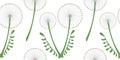 Seamless vector pattern with flowers. Background with grey dandelions and leaves on the white backdrop. Royalty Free Stock Photo
