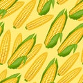 Seamless vector pattern with fresh ripe corn cobs Royalty Free Stock Photo