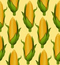 Ripe corn