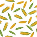 Seamless vector pattern with fresh ripe corn cobs. Royalty Free Stock Photo