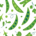 Seamless vector pattern with fresh sweet organic green pea with leaves and herb. Backdrop with tasty vegetable ingredient. Colorfu