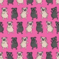 Seamless vector pattern with funny dogs.