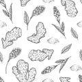Seamless vector pattern of ginger roots and flowers. Hand drawn . Engraved spicy vegetable. Food ingredient
