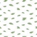 Seamless vector pattern of green carved leaves of a tropical palm tree on a white background