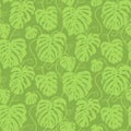 Seamless vector pattern of greenery leaves Monstera. Exotic tropical repeat ornament. Royalty Free Stock Photo