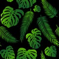 Seamless vector pattern of greenery leaves monstera and palm. Exotic tropical repeat ornament. Royalty Free Stock Photo