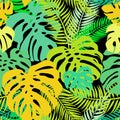 Seamless vector pattern of greenery leaves monstera and palm. Exotic tropical repeat ornament Royalty Free Stock Photo