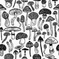 Seamless vector pattern of hallucinogenic mushrooms. Fantasy hand drawn concept of toadstools. Stylized image of psilocybin