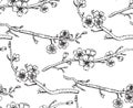 Seamless vector pattern with hand drawn branches of a blossoming Royalty Free Stock Photo