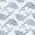 Seamless vector pattern with hand drawn fish illustrations Royalty Free Stock Photo