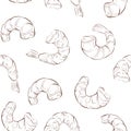 Seamless vector pattern of hand drawn shrimp on a white background. Realistic illustration Royalty Free Stock Photo