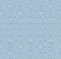 Seamless Vector Pattern With Hexagonal Dotted Shapes Royalty Free Stock Photo