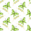 Seamless vector pattern with insects, colorful background with green butterflies and branches with leaves om the white backdrop Royalty Free Stock Photo