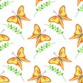 Seamless vector pattern with insects, colorful background with violet butterflies and branches with leaves om the white backdrop