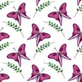 Seamless vector pattern with insects, colorful background with violet butterflies and branches with leaves om the white backdrop