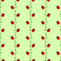 Seamless vector pattern with insects, symmetrical background with bright little ladybugs and branches with leaves, on the green ba