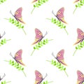 Seamless vector pattern with insects, symmetrical background with colorful butterflies and branches with leaves over light backdro Royalty Free Stock Photo
