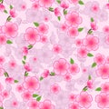 Seamless Vector pattern of Japanese Sakura Pink Cherry Blossom flowers Royalty Free Stock Photo