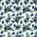 Seamless vector pattern of juniper branches with blue berries and needle-like leaves on a light blue background Royalty Free Stock Photo