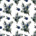 Seamless vector pattern of juniper branches with ripe blue berries, featuring a clean, illustrative style Royalty Free Stock Photo