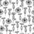 Seamless vector pattern made of small sketchy Silene latifolia flowers