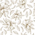 Seamless vector pattern with magnolia and leaves. Botanical illustration. Royalty Free Stock Photo