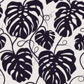 Seamless vector pattern of monochrome leaves Monstera. Exotic tropical repeat ornament.