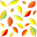 Seamless vector pattern with multicolored autumn leaves