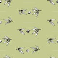 Seamless vector pattern with olive branch
