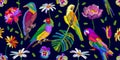 Colorful birds in the tropical garden.