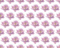 Seamless vector pattern of pink Lotus flowers. Water lily. Vintage style. hand drawn Botanical illustration. Good design Royalty Free Stock Photo