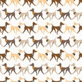 Seamless Vector Pattern with Pretty Walking Italian Greyhounds