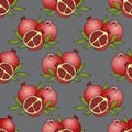 Seamless vector pattern with red ripe pomegranates on a dark background Royalty Free Stock Photo