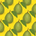 Seamless Vector Pattern with Ripe Guava with Leaf Royalty Free Stock Photo