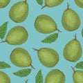 Seamless Vector Pattern with Ripe Guava with Leaf Royalty Free Stock Photo