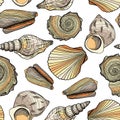 Seamless vector pattern with seashells. Marine underwater background. Hand drawn colorful nautical shells isolated on white.