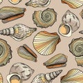 Seamless vector pattern with seashells. Marine underwater texture. Hand drawn colorful nautical shells on beige sand background.