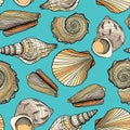 Seamless vector pattern with seashells. Marine underwater texture. Hand drawn colorful nautical shells on blue water background.