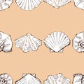 Seamless vector pattern of sketches various seashells in rows