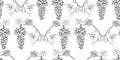 Seamless vector pattern of sketches vine branches with ripe grape berries bunches leaves and tendrils, background for textile,