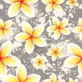 seamless vector pattern small delicate flowers on a colored background. For spring and summer clothes, fabrics, textiles Royalty Free Stock Photo