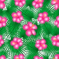 Seamless vector pattern - pink hibiscus flowers scattered on green fan palm leaves Royalty Free Stock Photo